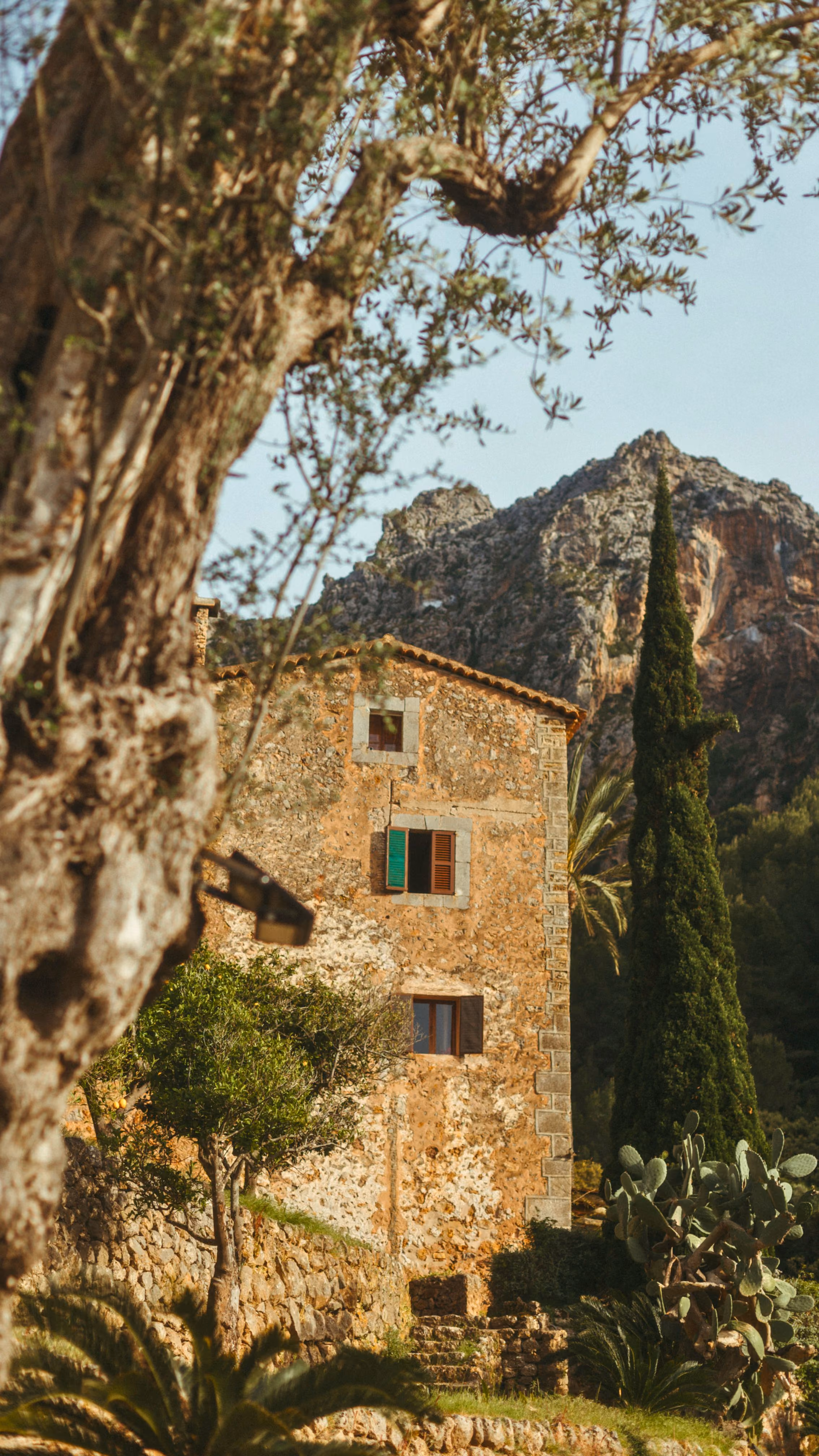 Historic stone façade of Finca Higo framed by olive trees beneath the Tramuntana Mountains in Cala Tuent, Mallorca.