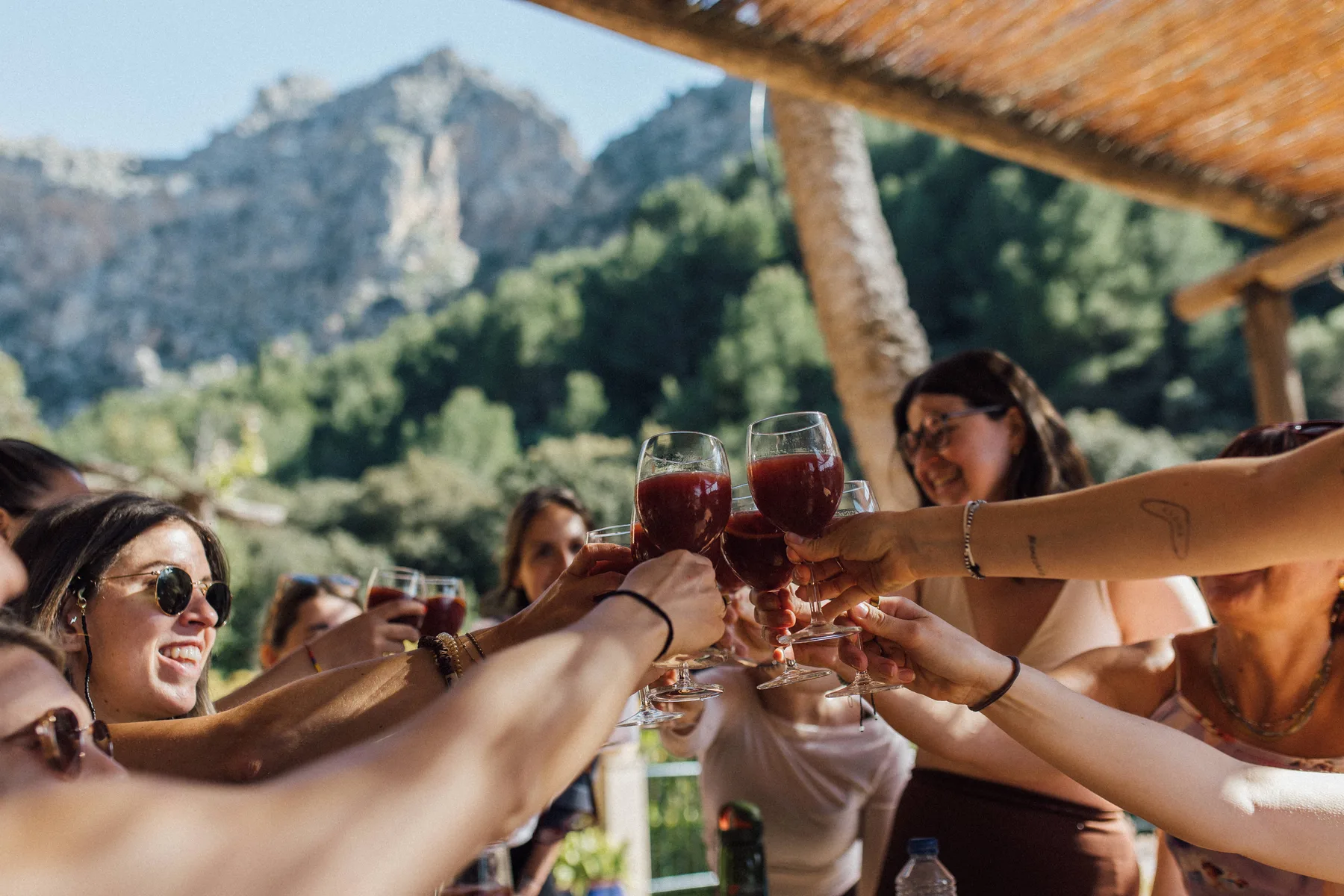 Group of people toasting with glasses of red drink outdoors with mountains and trees in the background, Finca Higo, Mallorca.