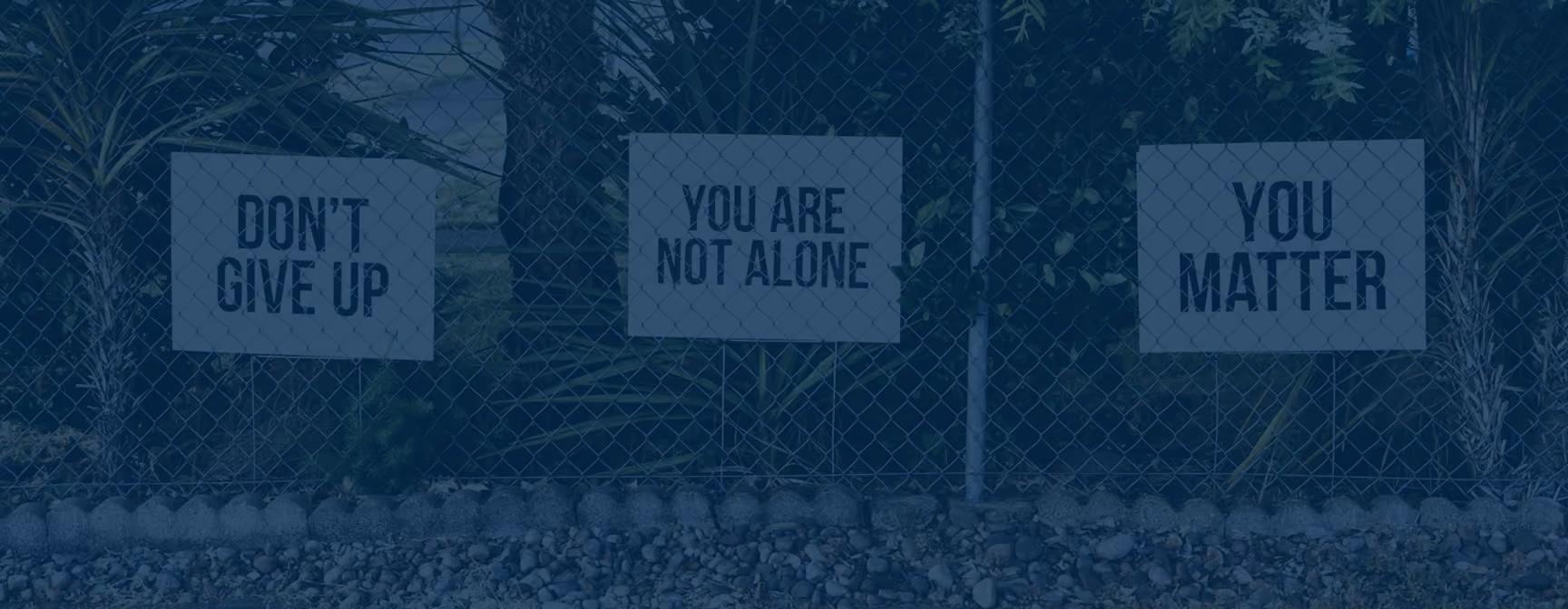 Three white signs with black text attached to a chain-link fence, reading from left to right: 'DON'T GIVE UP,' 'YOU ARE NOT ALONE,' and 'YOU MATTER,' with trees and plants visible behind the fence.