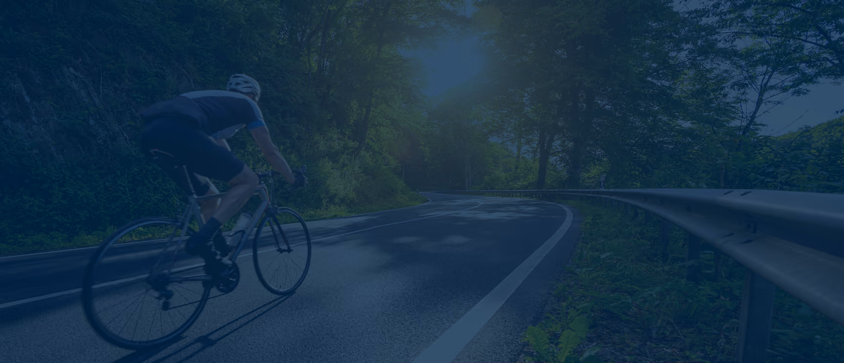 Cyclist riding a road bike on a winding forest road under sunlight filtering through trees.