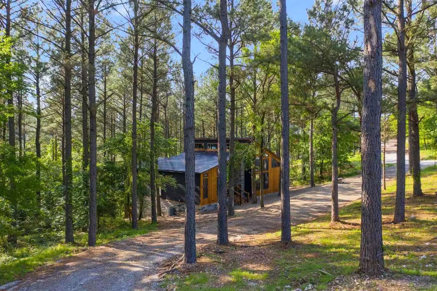 Pack Haus is tucked in under a canopy of over an acre of green forest. It's set at the intersection of two roads, with a long driveway that connects them. 