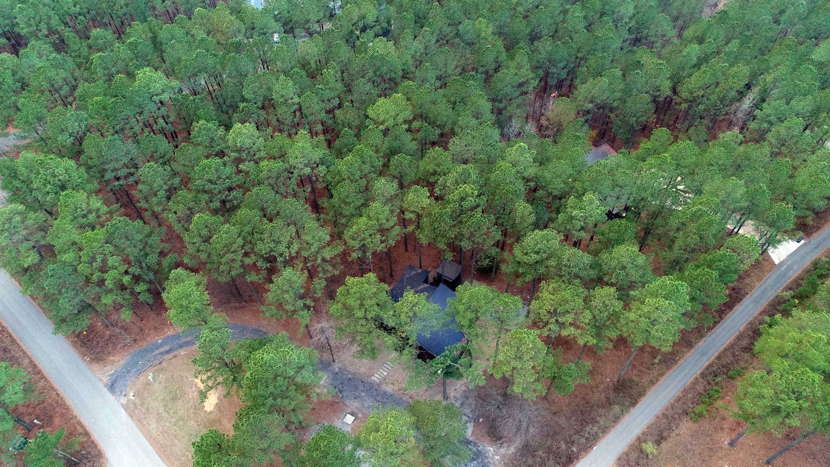 Pack Haus is tucked in under a canopy of over an acre of green forest. It's set at the intersection of Crooked Cedar Trl and Pine Hills Rd, with a long driveway that connects them. 