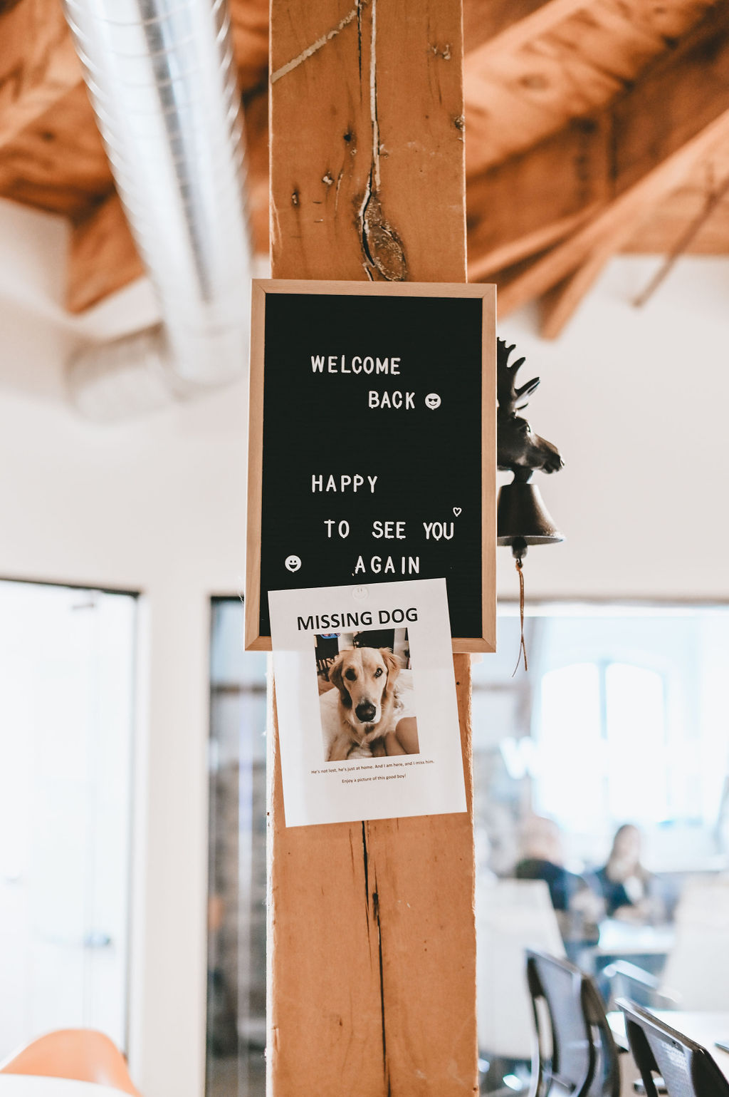 Wooden post with a welcome sign and a missing dog poster featuring a photo of a golden dog.