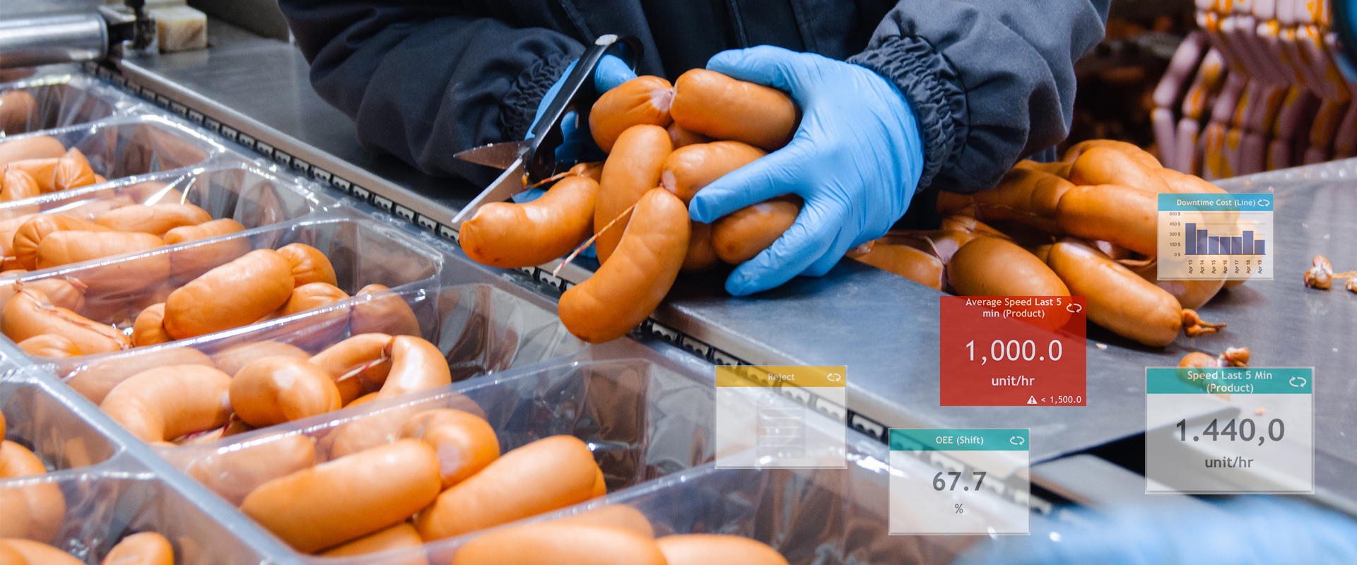 Introduction to Smart Meat Processing #4