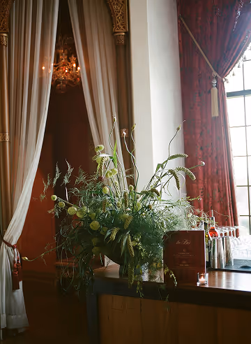 Indoor scene with a green plant centerpiece on a table and red curtains framing a window.
