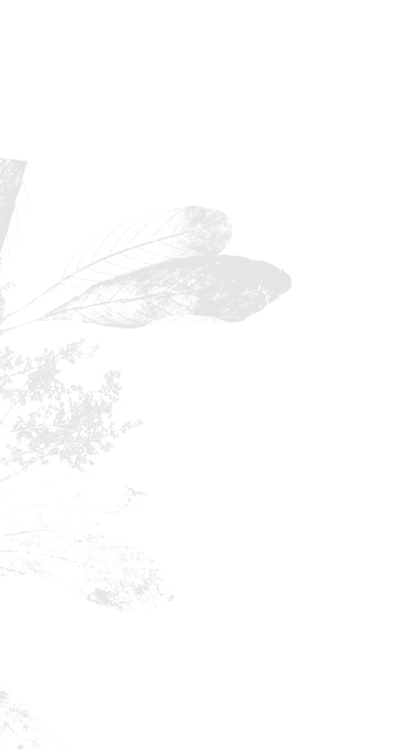 Leaf pattern graphic for 'Why we built Arki' section background.