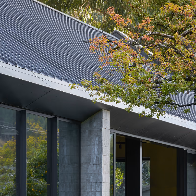 Modern house exterior with a gray corrugated metal roof, concrete pillars, large dark-framed windows, and a tree with green and orange leaves partially covering the roof.
