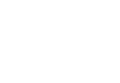 Black and white vintage illustration of pomegranates with leaves and flowers on a branch.