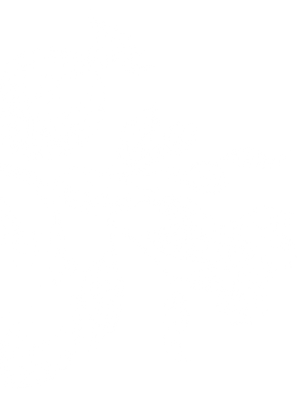 Black and white illustration of pomegranate fruits with branches and leaves.