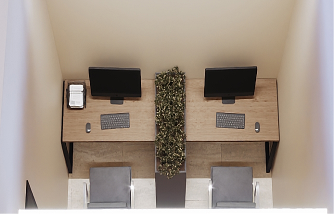 Top view of dual workstations with monitors, keyboards, mice, and a plant divider between two gray chairs.