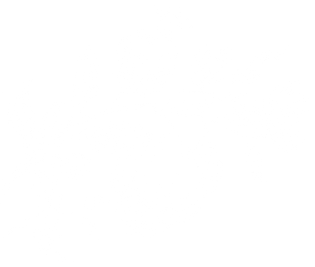 White vintage-style illustration of a pomegranate branch with leaves and flowers on black background.
