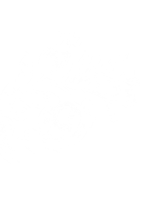 White sketch of pomegranate branch with fruits and leaves on a black background.
