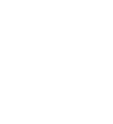 Black and white illustration of pomegranate fruits and branches with leaves and flowers.