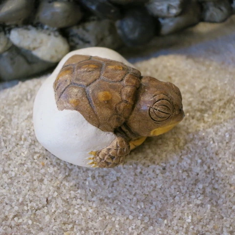 Small brown turtle figurine emerging from a white egg on sandy ground with rocks in background.