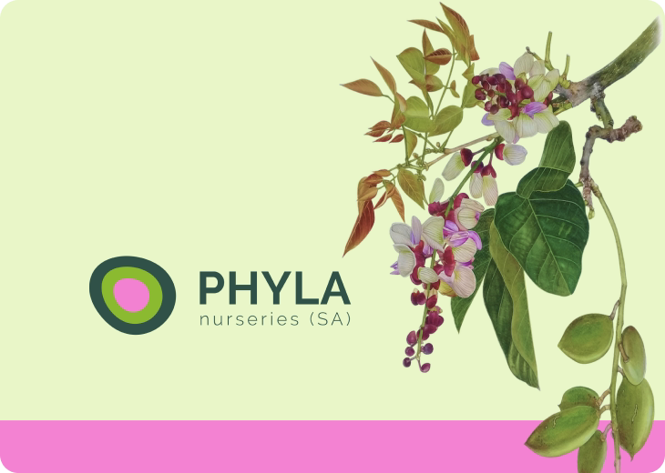 Phyla