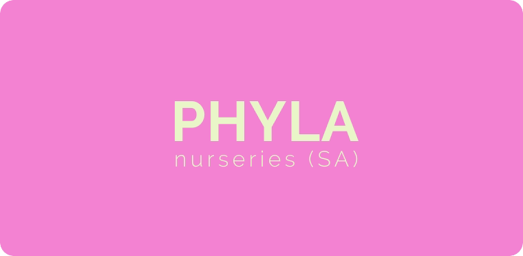 phyla-typo