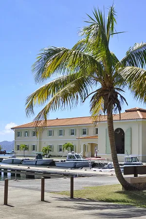 Palm tree by a marina with boats docked and a two-story building in the background under a clear sky.