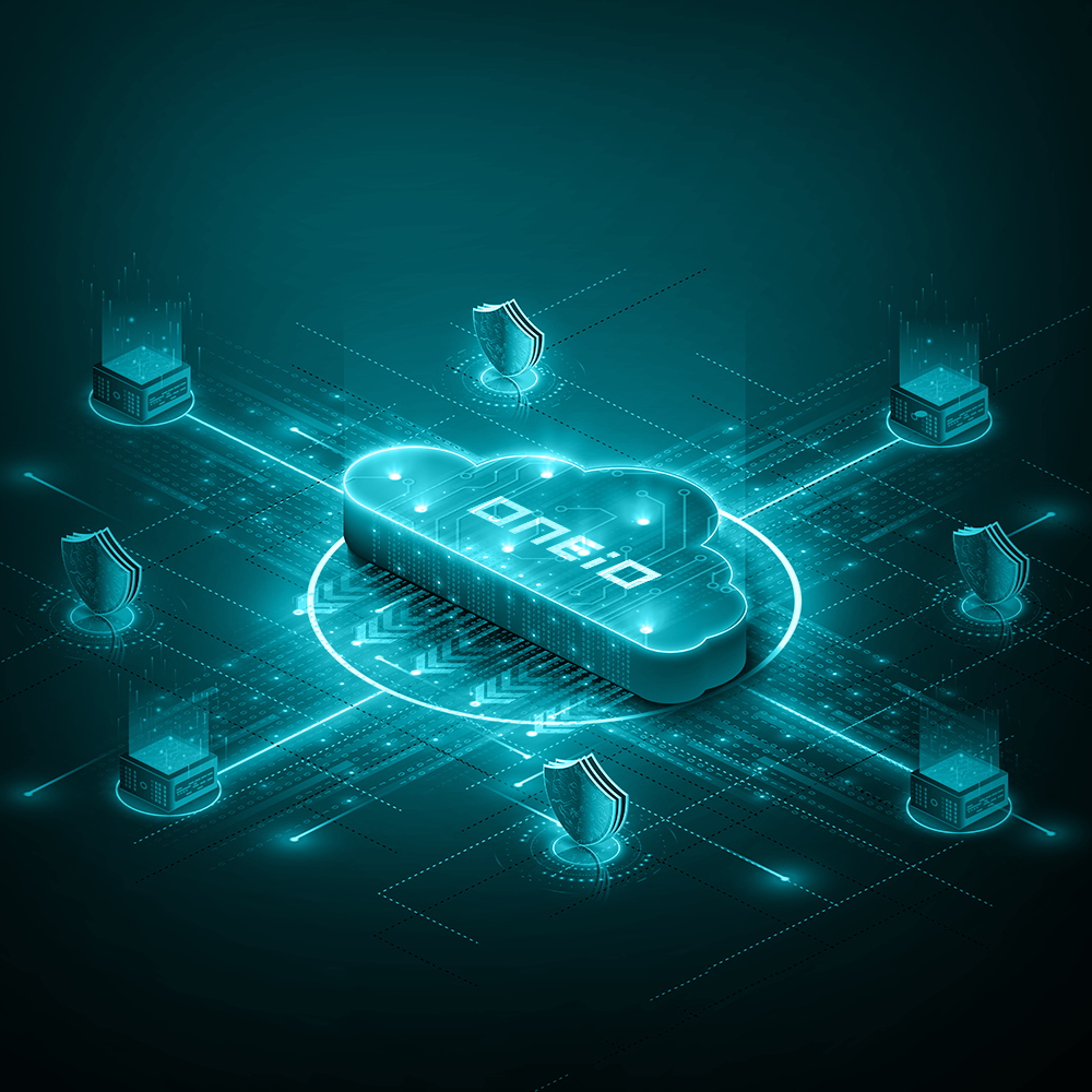 ONEiO - an integrated IT vendor management solution