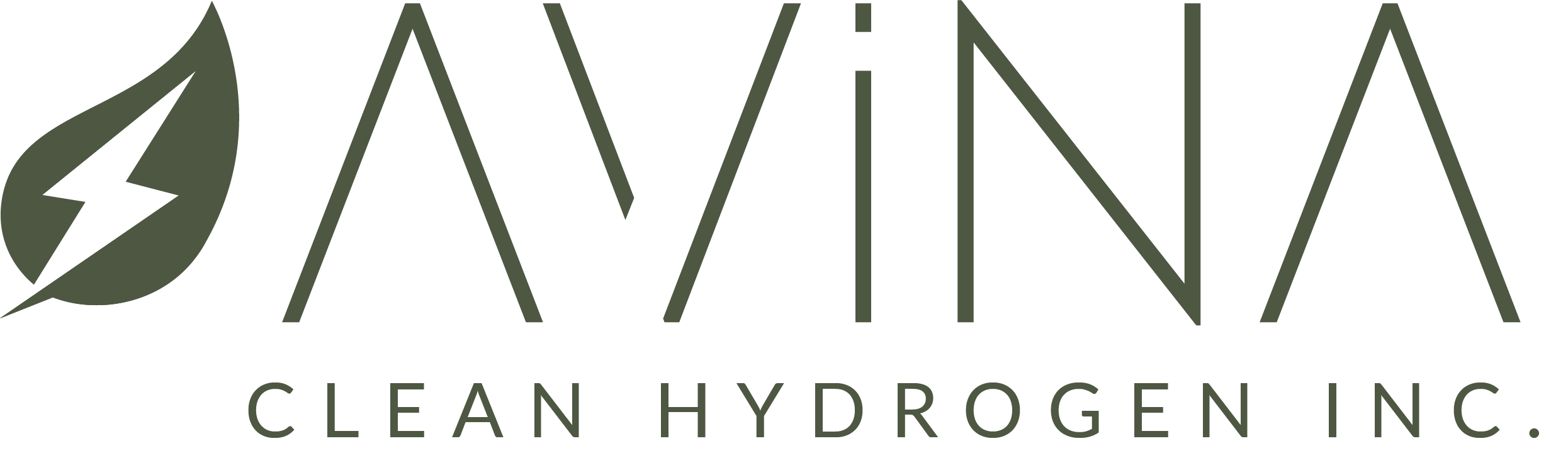 Avina