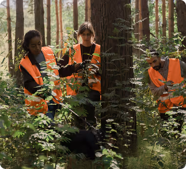 Firefighter in helmet cutting a tree branch with a chainsaw in a forested area.