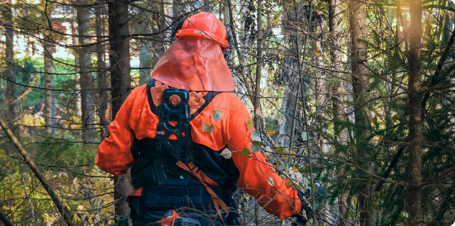 Person wearing orange safety gear and helmet working with chainsaw in a forest.