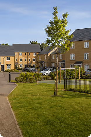 Newly planted trees on green grass in a residential area with beige three-story houses and parked cars.