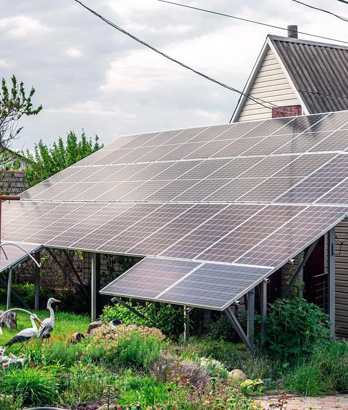 Solar panels installed in a backyard garden near a house with greenery and decorative birds.
