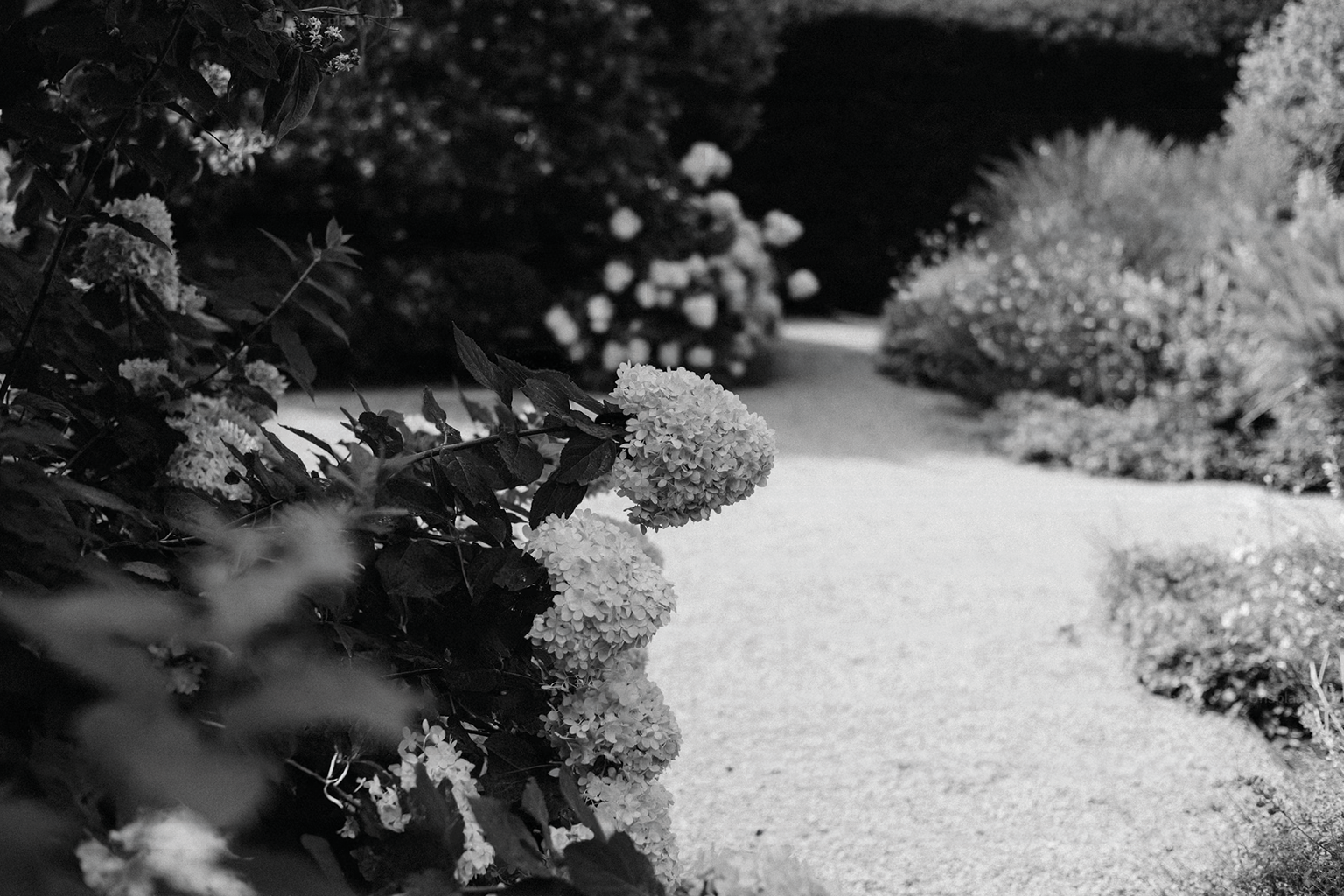 Jardín privado con hortensias, arbustos y vegetación ornamental diseñado para disfrutar durante todo el año.