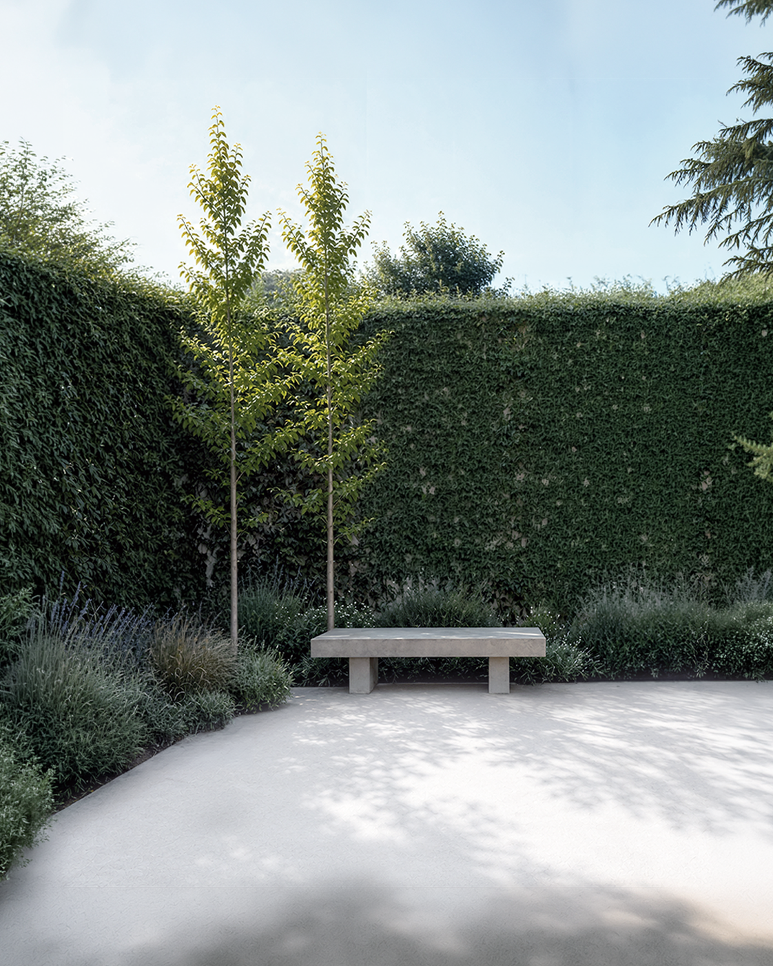 Mediterranean garden with olive trees, stone steps, ornamental grasses, and gravel path.