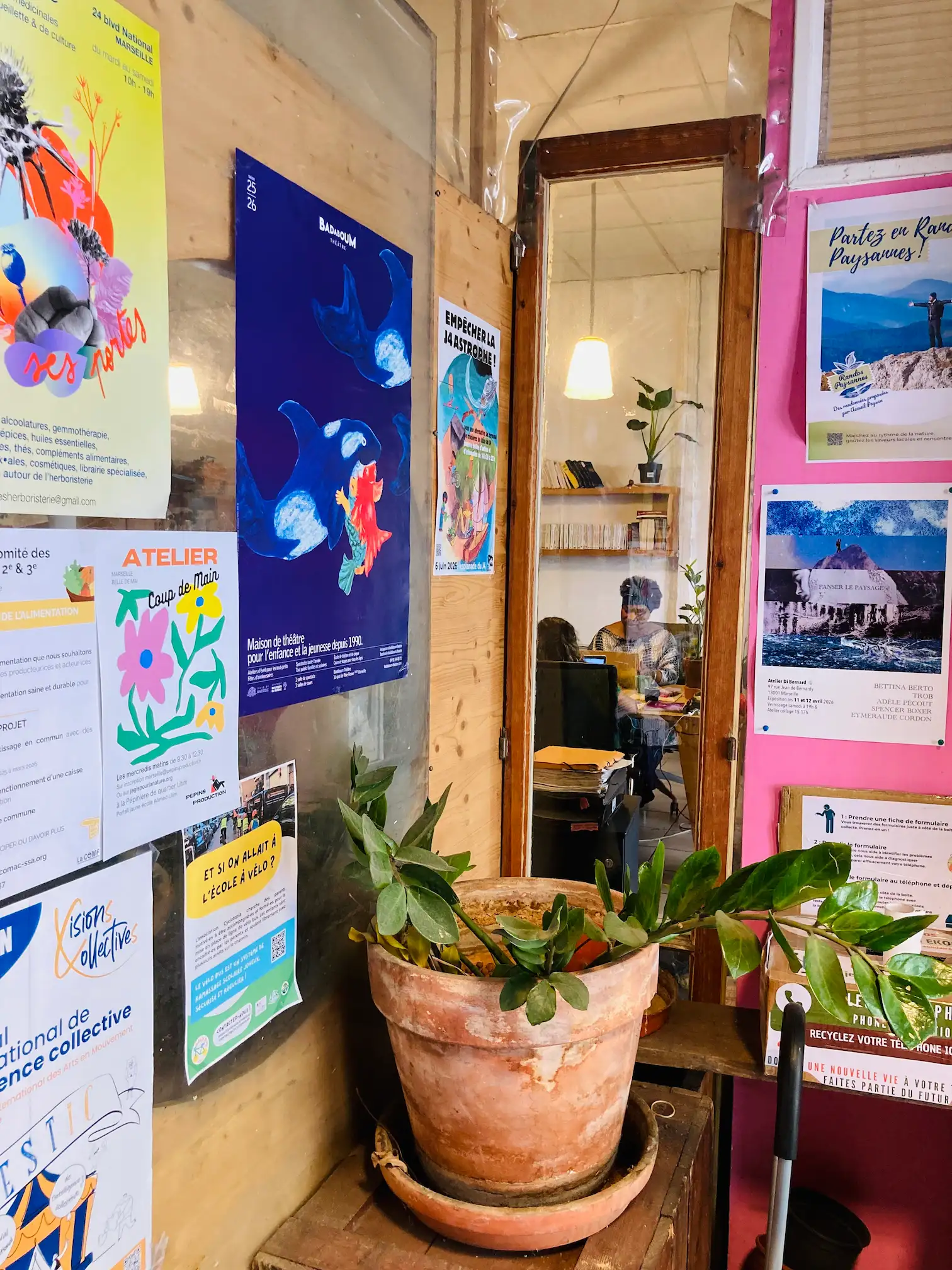 Plante verte dans un pot en terre cuite devant une porte vitrée avec affiches colorées.
