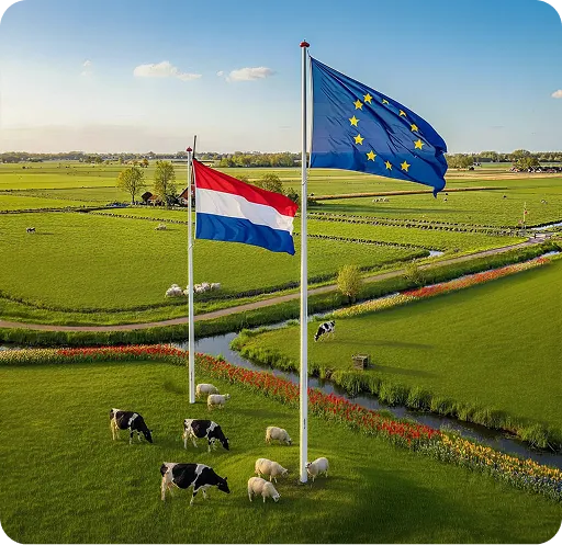ClockWise app op een smartphone