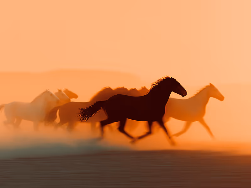 Journey Image