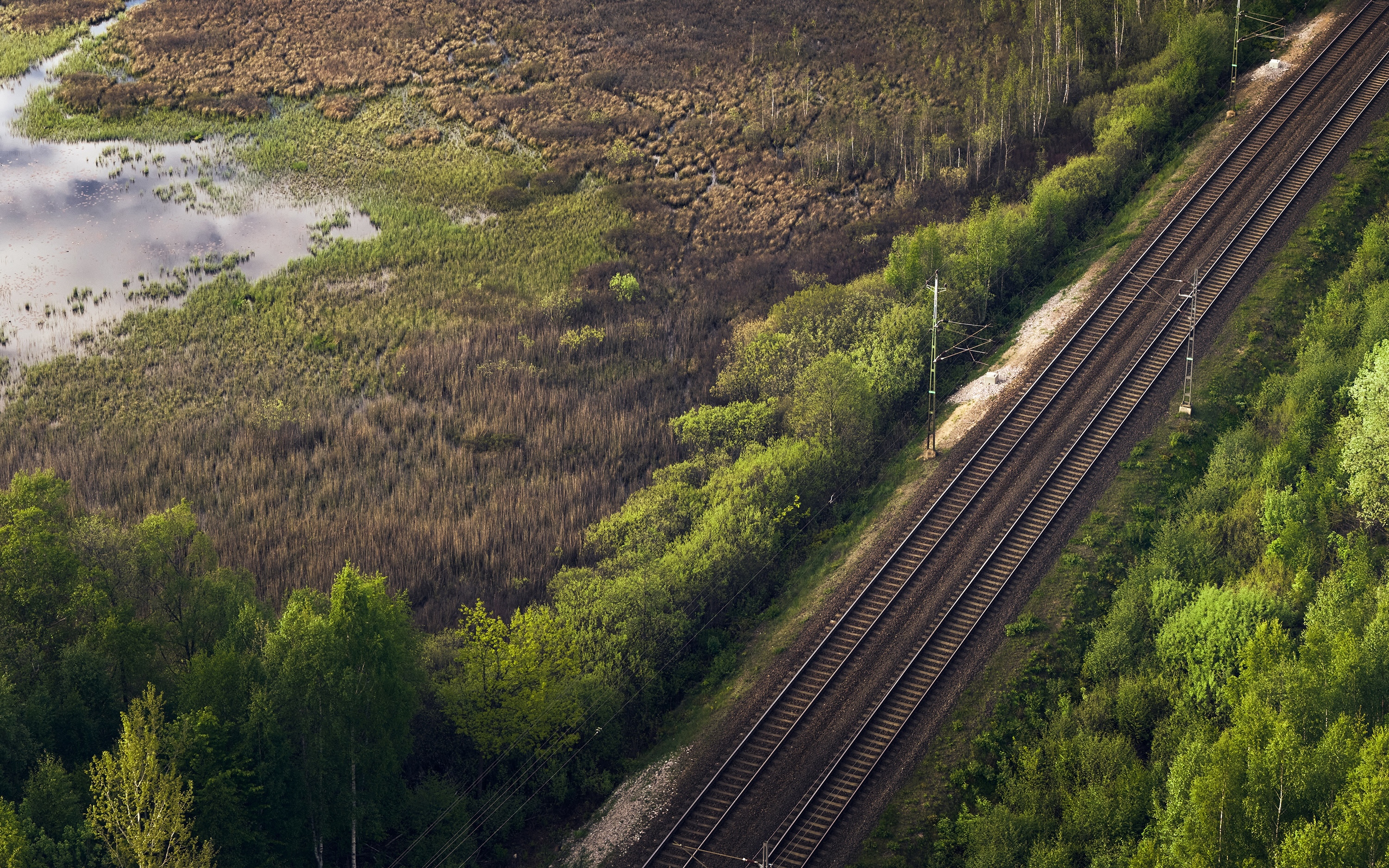 Railroad tracks running next to a wooded area and a wetland with reeds.