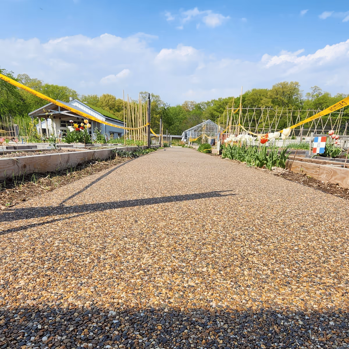 Majestic Garden Paths
