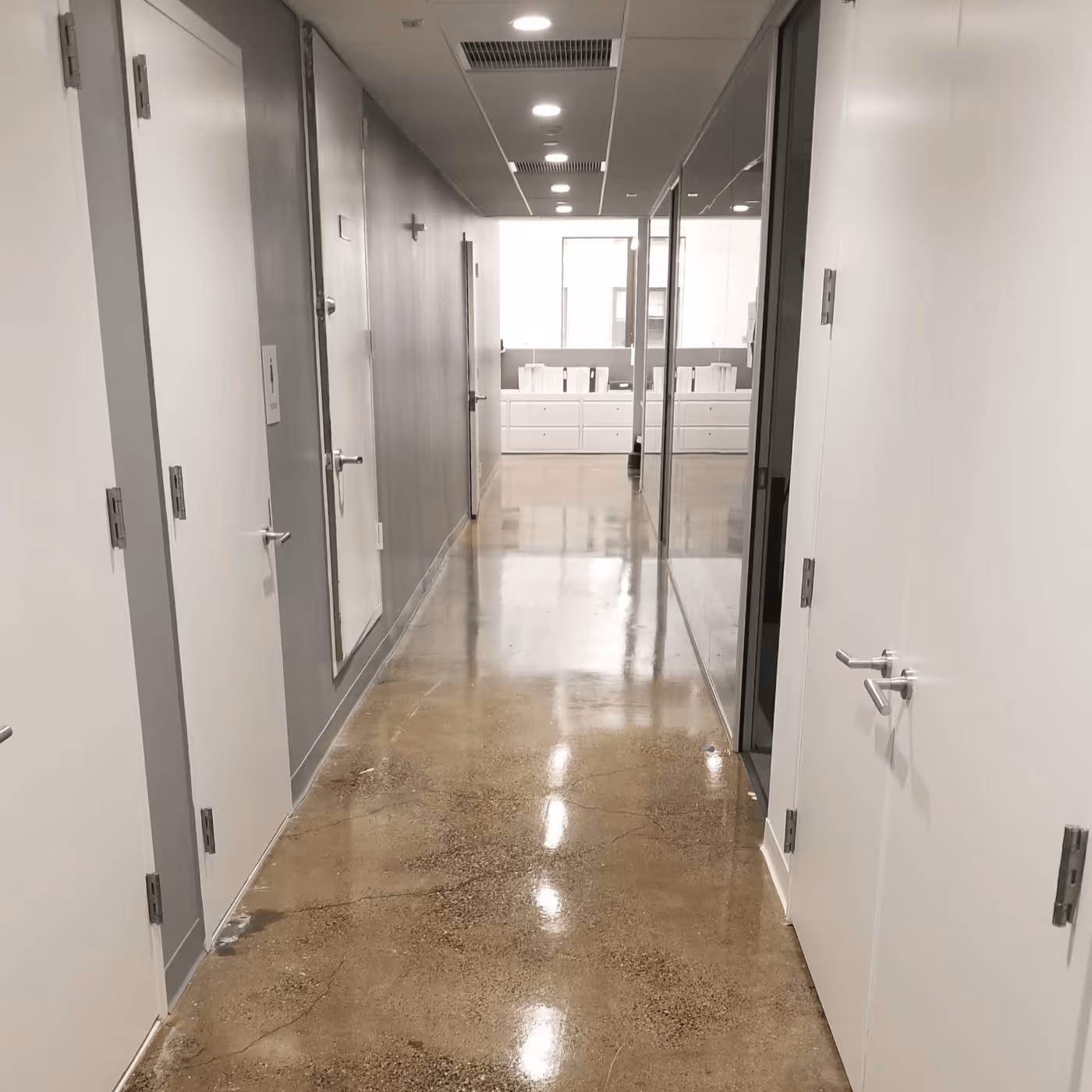 Majestic polished solution