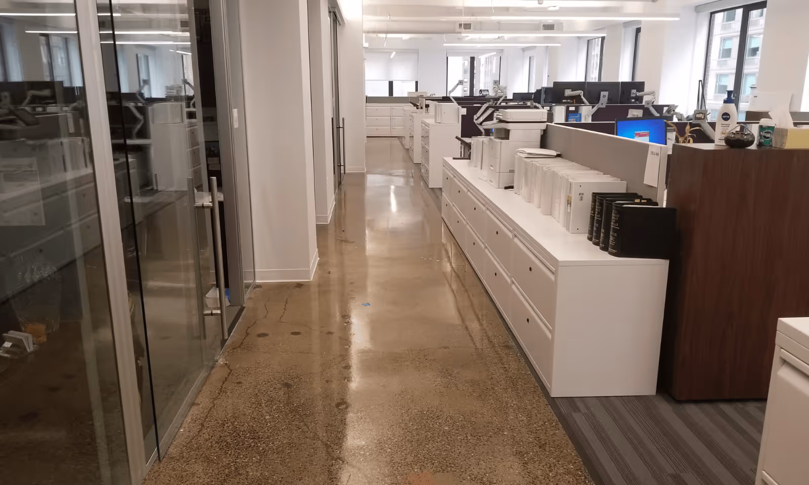 Polished Office Spaces