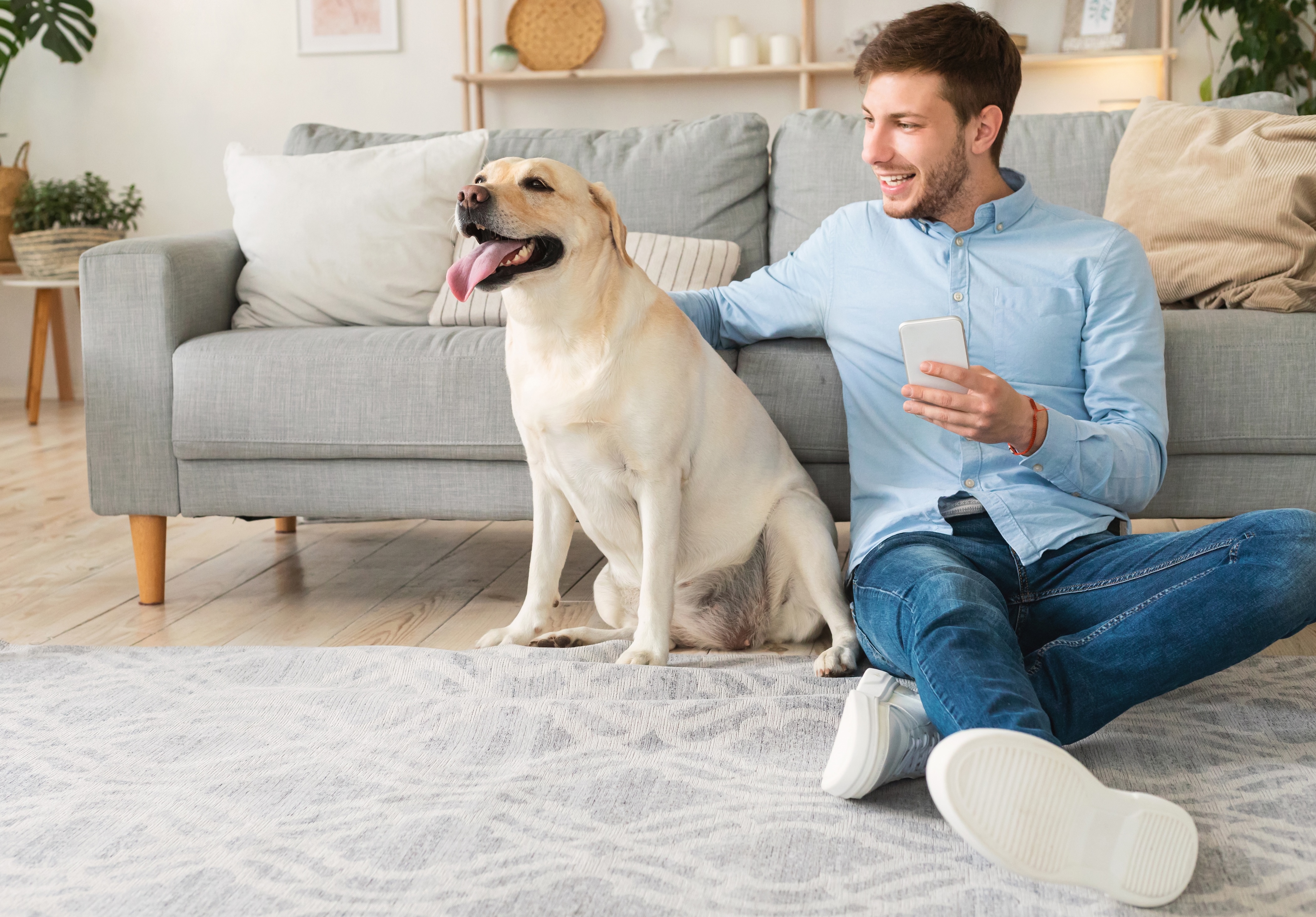 Man with his dog stock photo