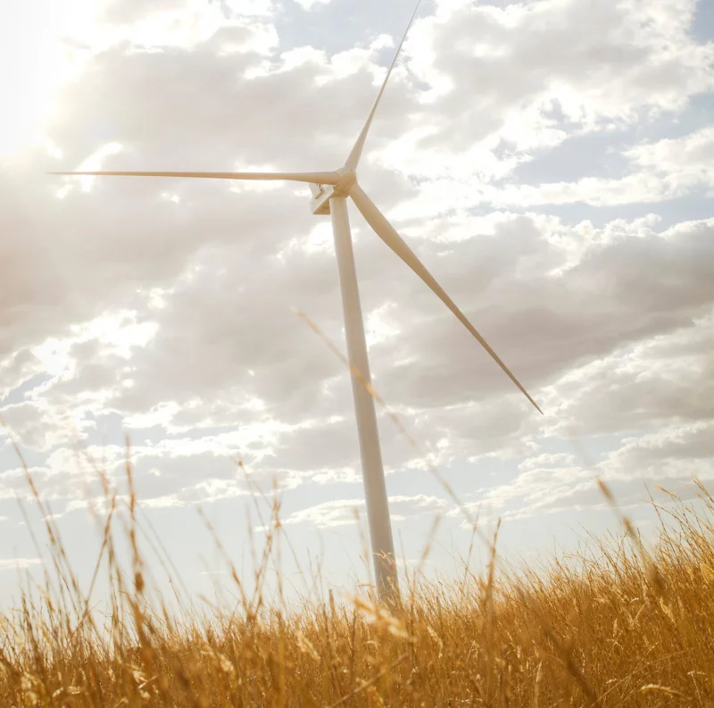 Wind turbine on open field