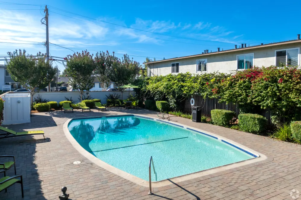 Pool and outdoor area