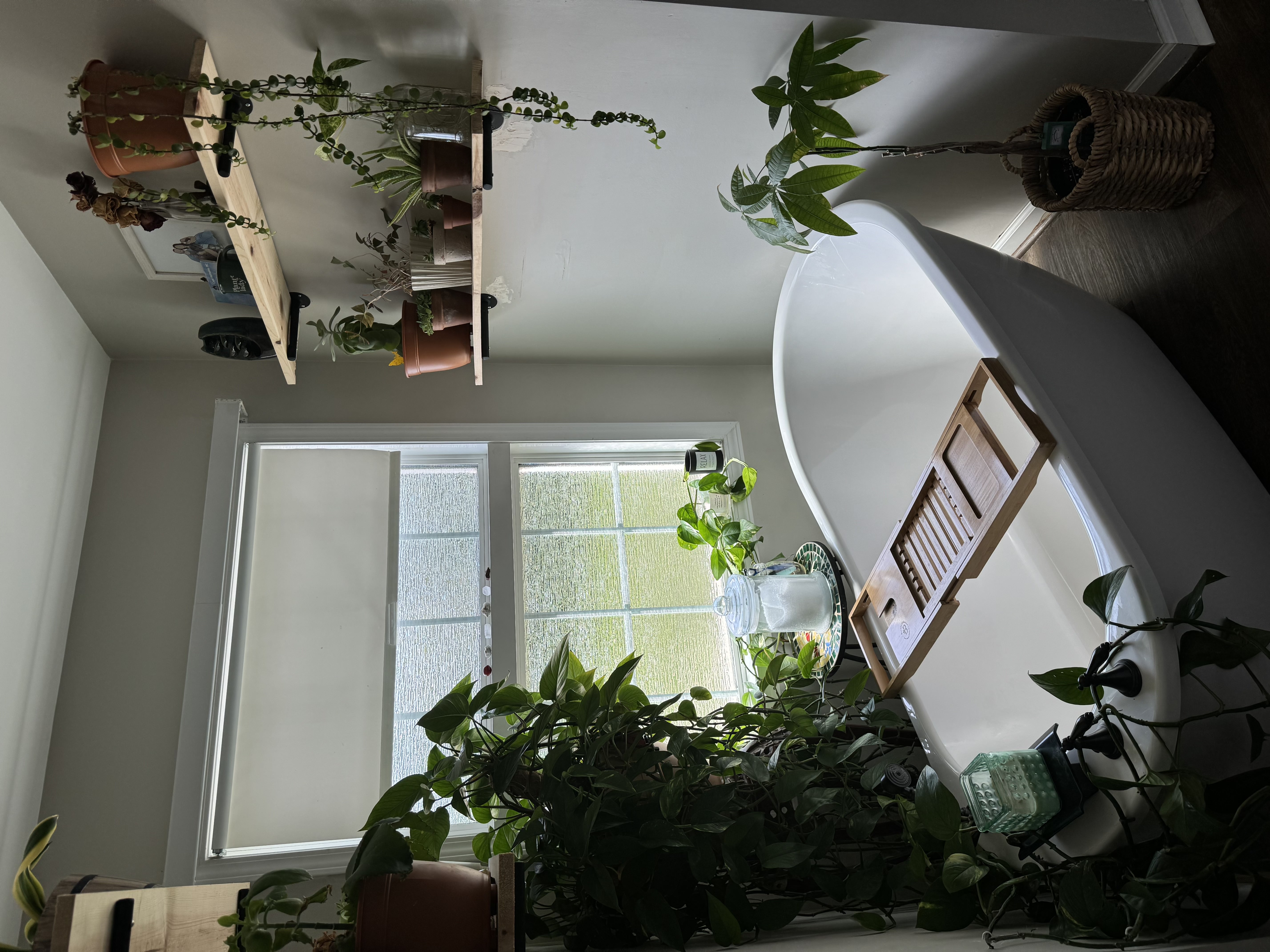 Main Gallery photo 9