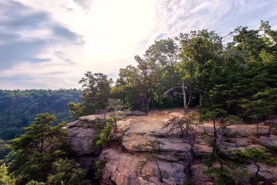 Berea, KY