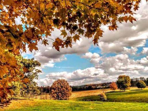 Mt Vernon, KY