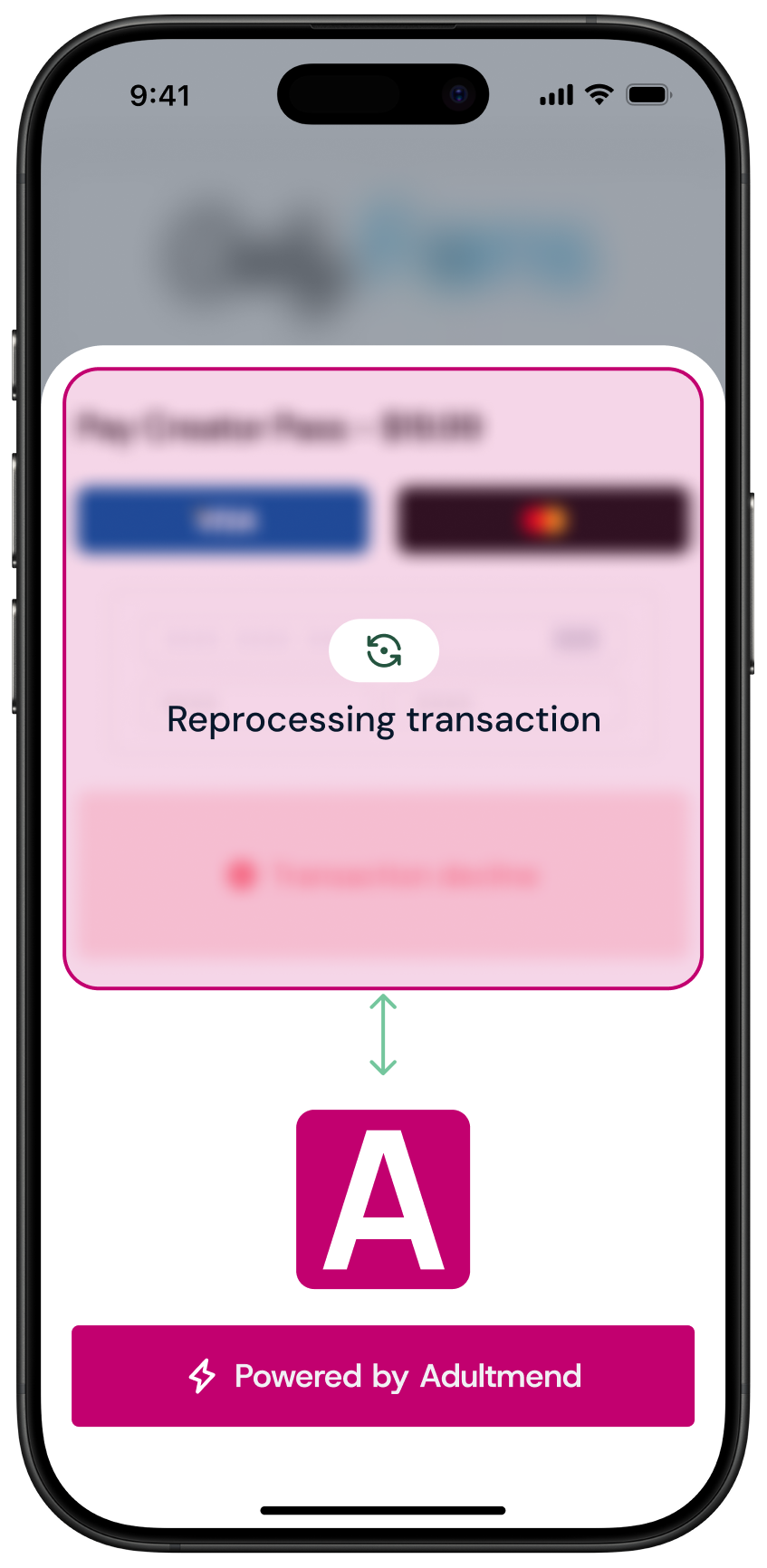 Payment screen showing reprocessing transaction message with payment options and Adultmend branding.