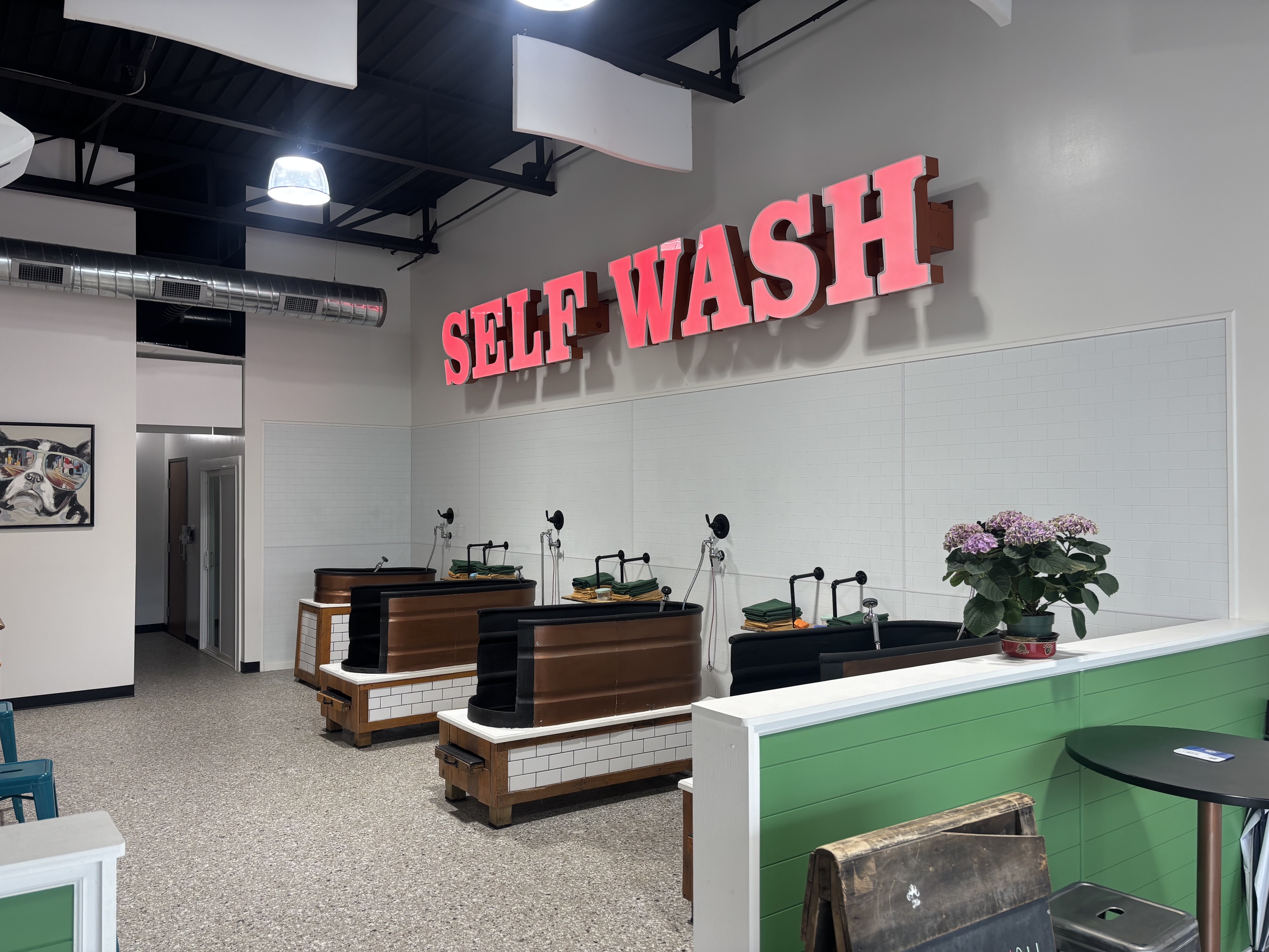 Self Wash space at Soggy Doggie