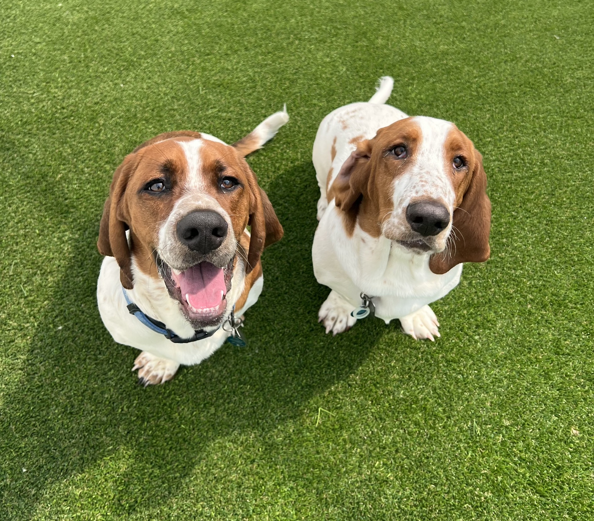 Boys enjoying daycare yard