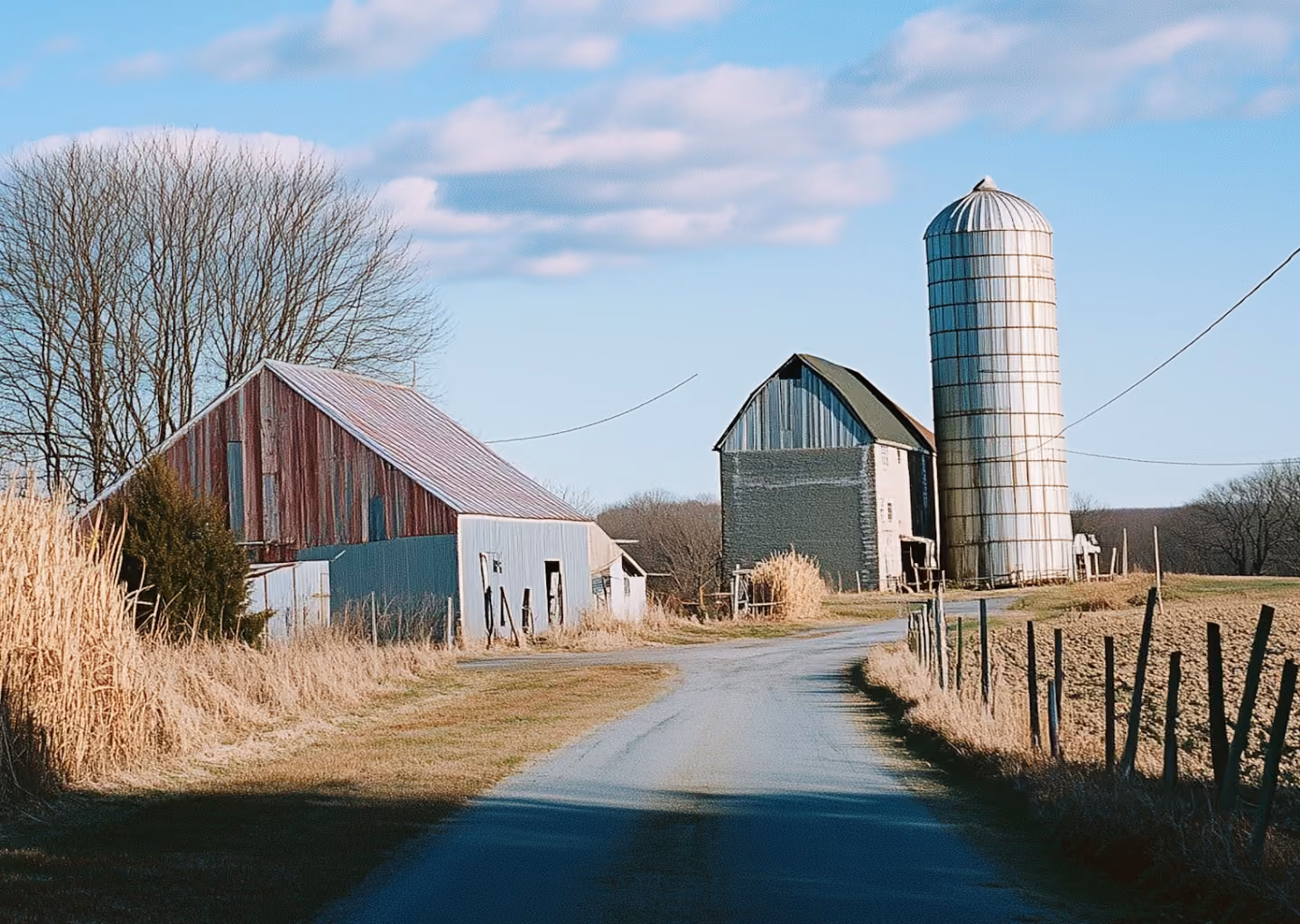 Rural farm scene with a red barn, silo, dirt road, leafless trees, and dried grass under a blue sky.