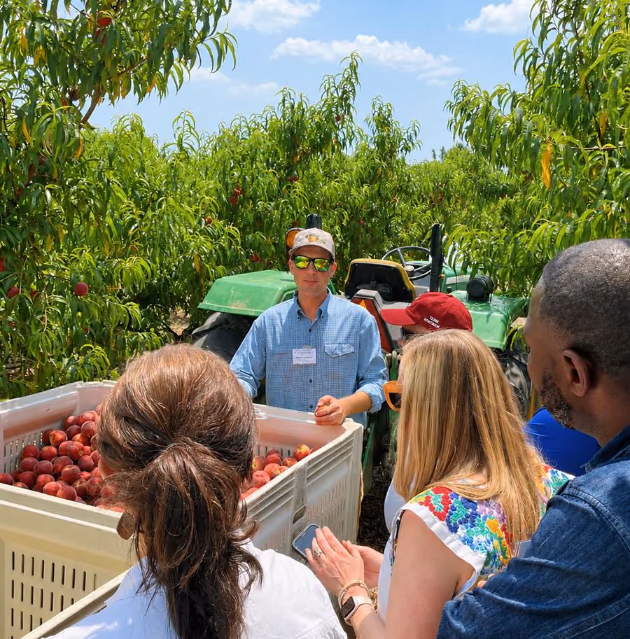 Man in blue shirt and cap stands by a crate of peaches talking to a group in an orchard.