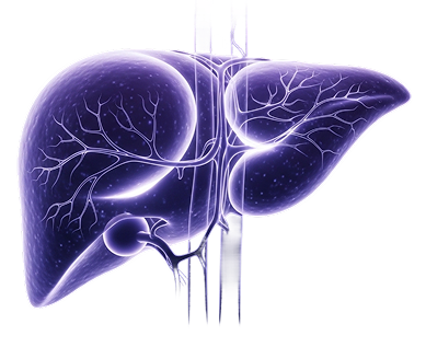 SALCheck Liver saliva-based diagnostic test for liver fibrosis detection