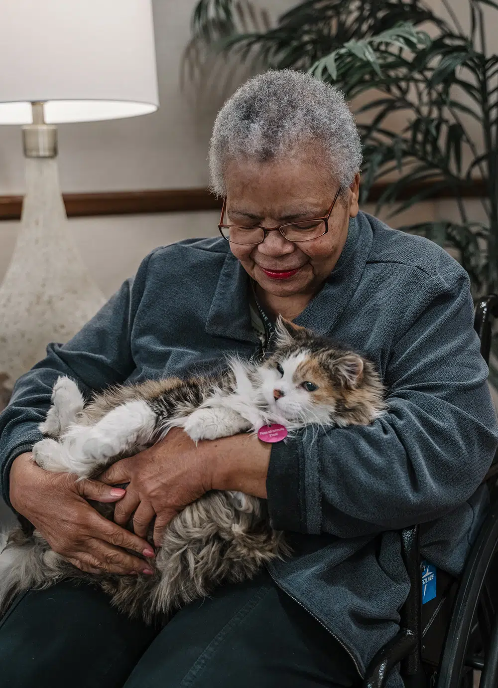 Senior woman in wheelchair joyfully holding a fluffy cat, illustrating the positive impact of pet therapy on cognitive wellness and happiness.