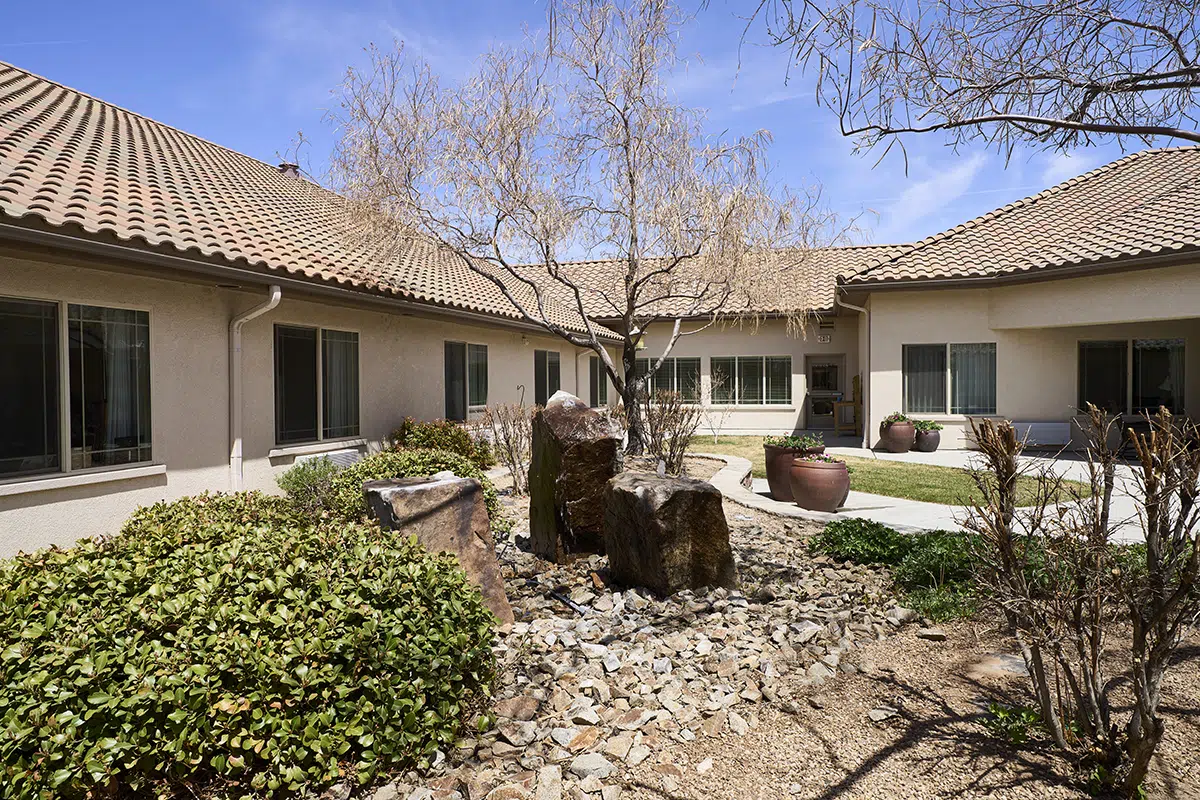 A courtyard with a dry tree, rocks, and shrubs, surrounded by buildings with tiled roofs and large windows.